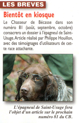 magbécasse
