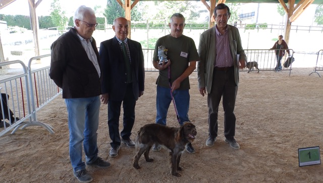 NE 2015 - Meilleure chien de la NE