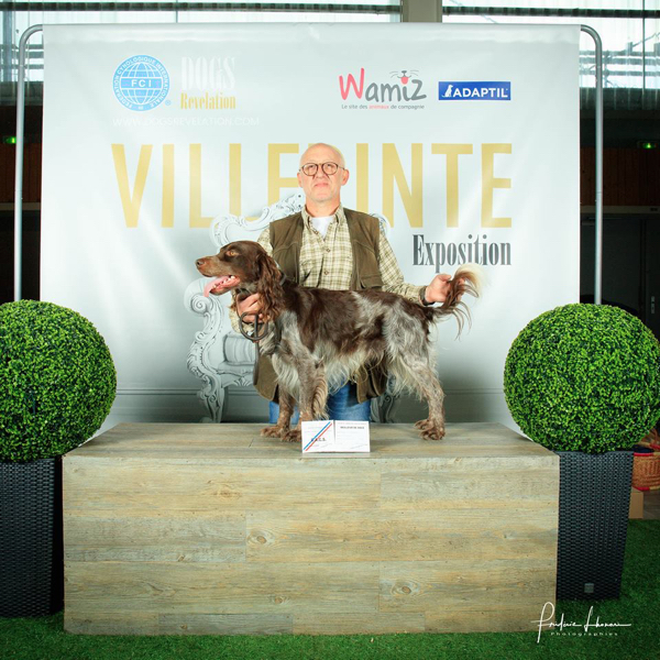 photo Villepin