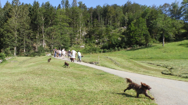 Départ promenadedu dimanche