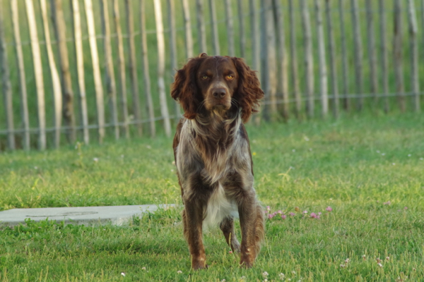 Jethro