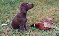 rencontre saint usuge