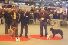 179_cga2008bahia