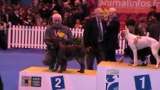 235_podium-bahia-2011.JPG