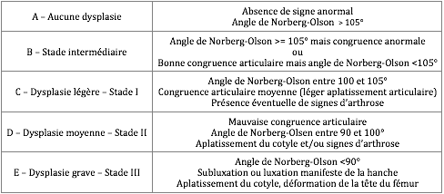 Tableau dysplasie